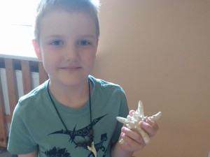 IMG_20210512_115717332